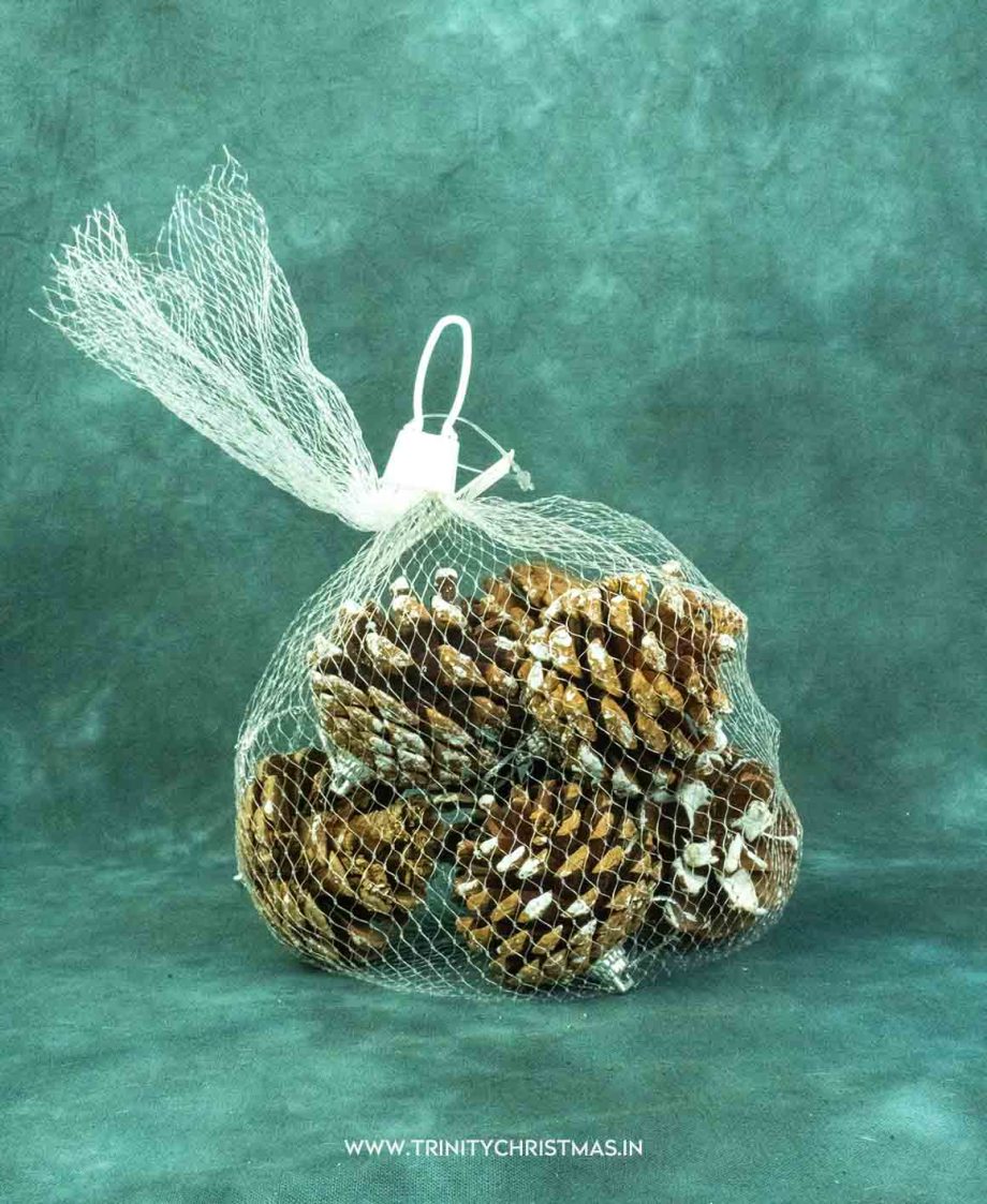 Snowy Pine Cones