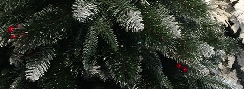 Fir Christmas Tree