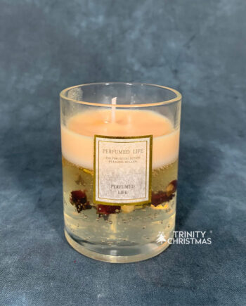 Aromatherapy Scented Gel Candles - Orange