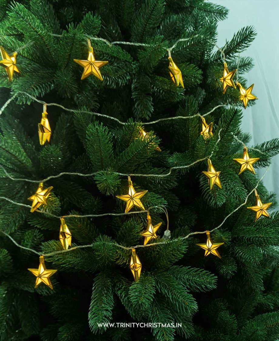 Gold Star Warm LED Lights