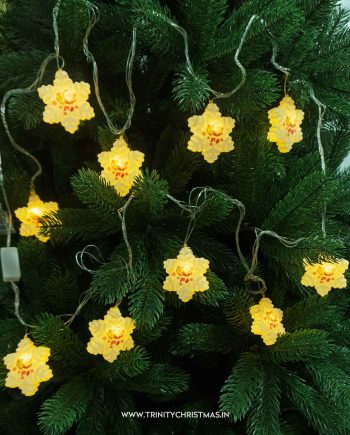 Snowflake Star String Lights