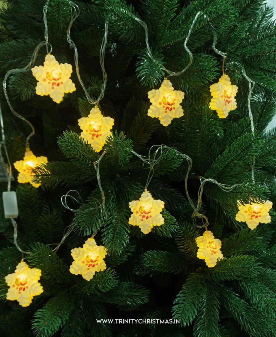 Snowflake Star String Lights