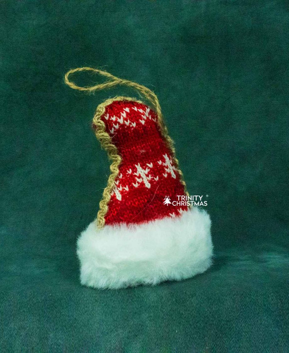 Winter Wonderland Knit Hat