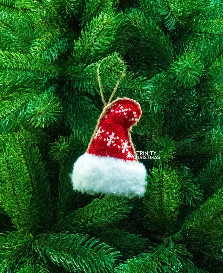 Winter Wonderland Knit Hat