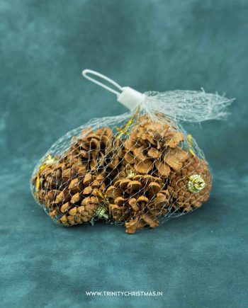 Brown PineCones