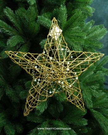 Luxurious Gold Star