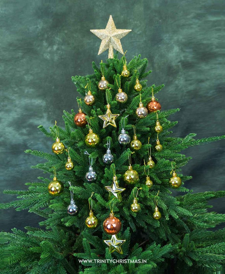 Pastel Gilded Ornament Set