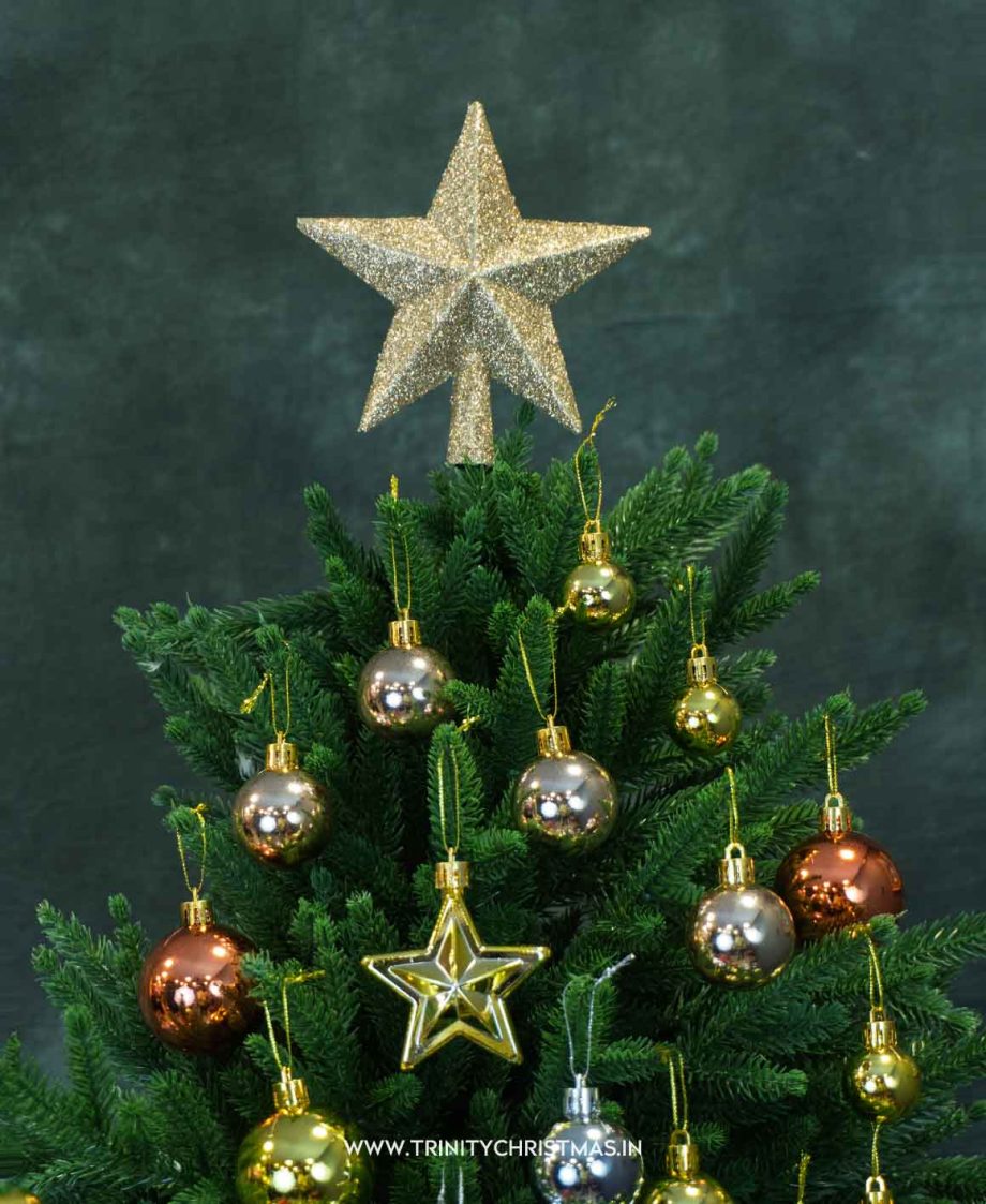 Pastel Gilded Ornament Set