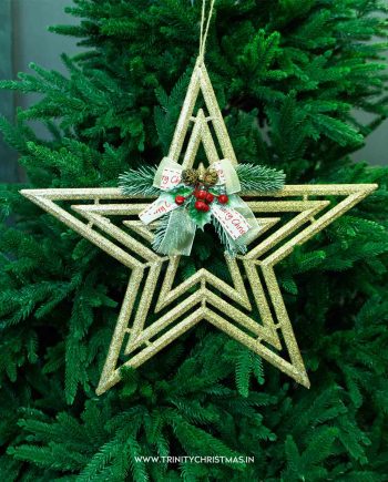 Winterberry Glow Star