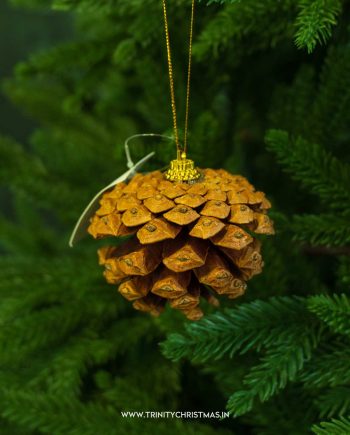 Single Brown Pinecone