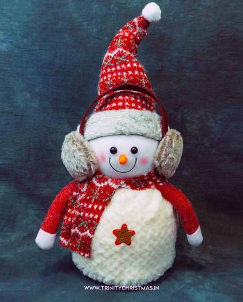 50cm Frosted Winter Snowman