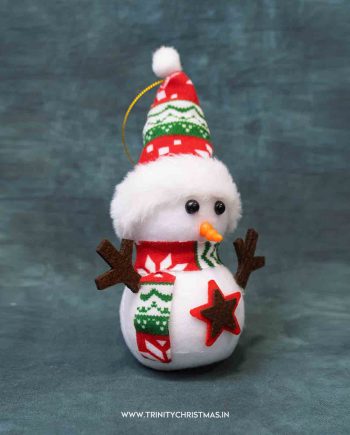 Starry Snowman