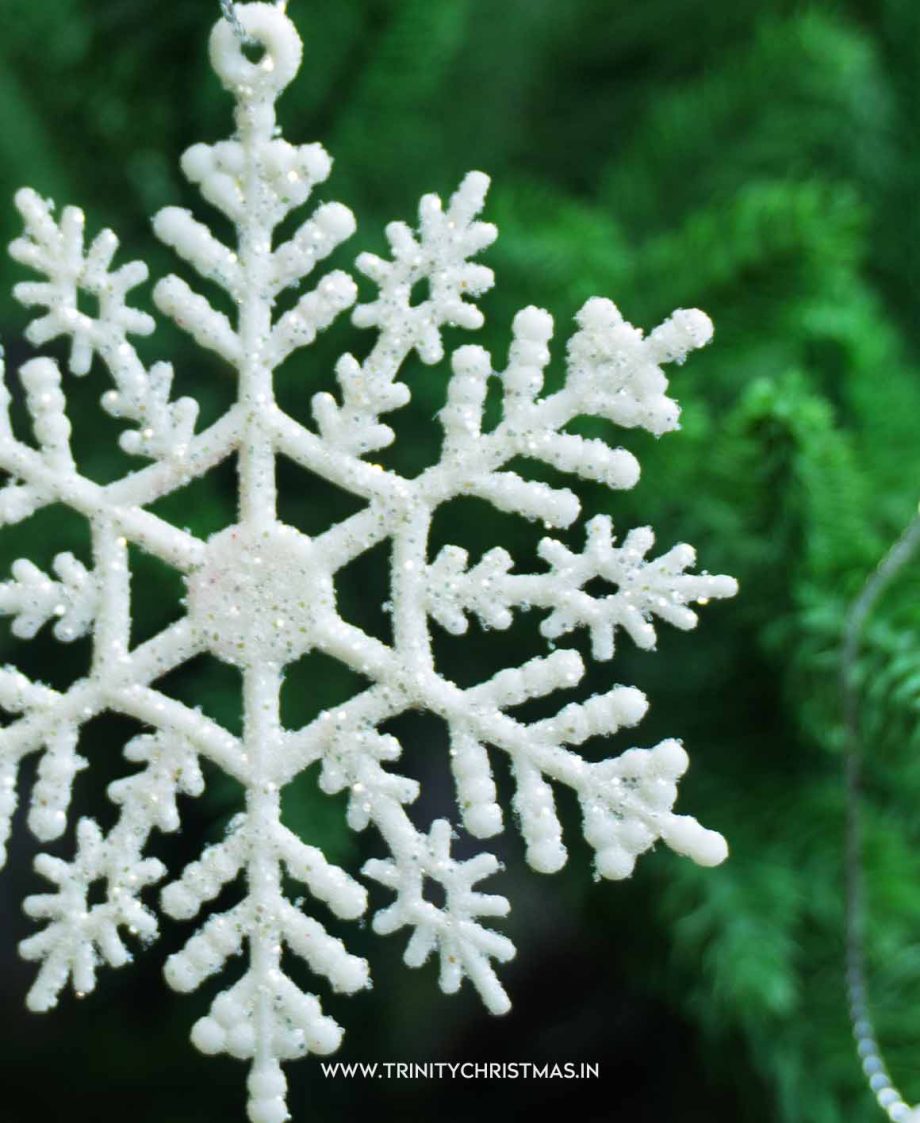 Icy Frost Snowflake Ornament