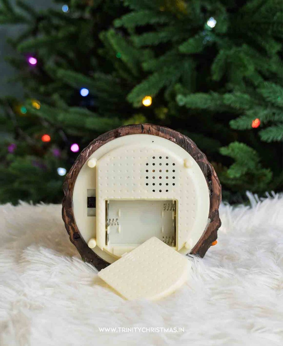 16cm Divine Christmas Nativity Snow Globe
