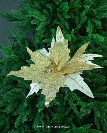 Shimmering Champagne Glow Poinsettia